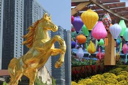 Du Xuân Bính Ngọ: Ghé những vườn hoa mới mở tại TP.HCM cùng gia đình, bạn bè