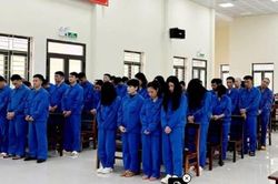 Án tù chung thân cho 4 đối tượng quản lý đường dây lừa đảo tại Campuchia