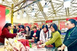 Bỏ túi hàng trăm triệu tại Hội chợ Mùa Xuân vì khách mê tỏi cô đơn Lý Sơn