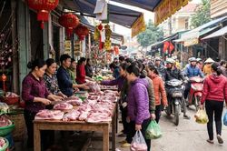 Giá heo hơi hôm nay 8/2: Miền Bắc dẫn đầu, miền Nam thấp nhất