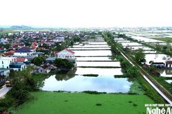 Nghệ An đẩy nhanh tái định cư cho dự án đường sắt tốc độ cao
