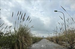 Khơi thông 'điểm nghẽn' đất đai - quyết tâm hồi sinh những dự án đô thị đắp chiếu