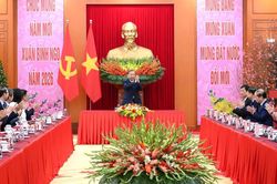 Tổng Bí thư Tô Lâm gặp mặt Đoàn kiều bào tiêu biểu