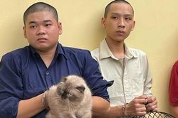 Công an xã Đông Thạnh, TPHCM bắt nhóm chuyên trộm cắp mèo, trong đó có nhiều con mèo cảnh đắt tiền
