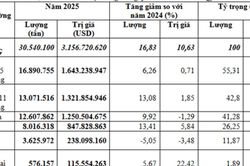 Nhập khẩu quặng và khoáng sản năm 2025 đạt 30,54 triệu tấn, tăng 10,6% về kim ngạch