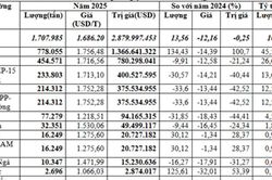 Việt Nam nhập khẩu 1,71 triệu tấn bông năm 2025, Hoa Kỳ chiếm 45,6% thị phần