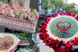 'Hoa tiền' mệnh giá 500.000 đồng: Xu hướng quà Valentine xa xỉ lên ngôi