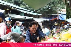 Nhộn nhịp mua sắm lễ vật tiễn ông Công, ông Táo