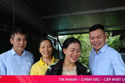 Bảo hiểm Xã hội Hà Tĩnh giữ mạch an sinh trong dòng chảy mới