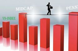 Thanh khoản giảm gây rủi ro cho nhóm vốn hóa lớn, penny, midcap 'lên ngôi'?