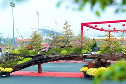 Tác phẩm 'Vạn lộc nghinh xuân' gần 800 triệu đồng hút khách dịp Tết 2026