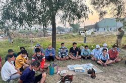 Công an TPHCM 'đột kích' hàng loạt sới đá gà