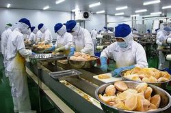 Gần 2.600 mặt hàng nông sản Việt xuất Trung Quốc phải có 'thư xác nhận'