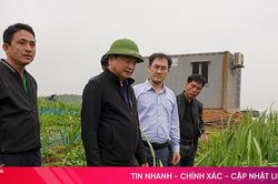 Mô hình nông nghiệp đa tầng xen canh mang lại hiệu quả kinh tế tại Kỳ Lạc