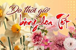 Đo thời giờ bằng hoa Tết