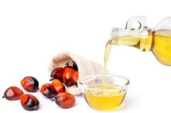 Giá dầu cọ chịu áp lực khi Indonesia dừng kế hoạch biodiesel, dự báo mức 968-1.096 USD/tấn