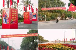Sắc xuân về trên đất Cố đô Ninh Bình