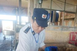 Tăng cường quản lý hoạt động giết mổ động vật trên địa bàn tỉnh