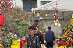 Không khí Tết rộn ràng tại phường Hải Dương (TP Hải Phòng)