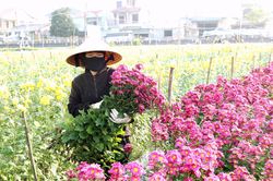 Thời tiết Nghệ An ngày 13/2: Ngày nắng, đêm và sáng sớm trời rét