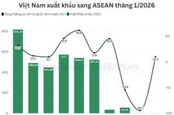 Mặt hàng nào Việt Nam xuất khẩu nhiều nhất sang ASEAN trong tháng 1/2026?
