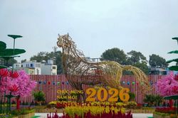 Công viên hoa xuân 152 Trần Phú - Thêm điểm vui chơi cho người dân dịp đầu năm mới