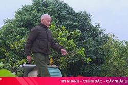 Bí quyết sống khỏe của người cao tuổi Hà Tĩnh