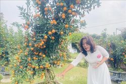 Thú chơi quất ngày Tết và câu chuyện giữ nghề trồng quất ở Hà Nội