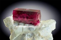 Ngọc quý 'độc bản' hiếm có khó tìm trên thế giới