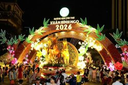 Cần Thơ khai mạc Đường hoa xuân Bính Ngọ 2026