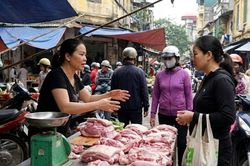 Giá heo hơi hôm nay 15/2: Miền Nam thấp nhất 70.000 đồng/kg