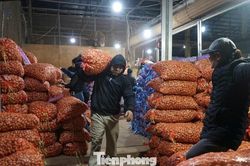 Bốc hàng xuyên ngày đêm tại chợ đầu mối lớn nhất xứ Thanh