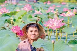 Nguyễn Văn Xong: Khởi nghiệp từ ao sen quê nhà