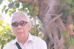 Bính Ngọ với đại lão Phan Quang