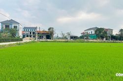 Hà Tĩnh: Nỗi nhớ neo đậu ở những phiên chợ cuối năm
