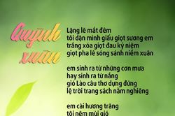 Quỳnh xuân