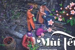 Mùi Tết