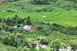 Những người 'gieo mầm xuân' dưới chân Sơn Bạc Mây