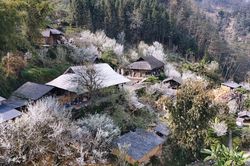 Viễn du trong xuân mộng Bắc Hà