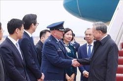 Tổng Bí thư Tô Lâm đến Mỹ dự khai mạc Hội đồng Hòa bình về Gaza