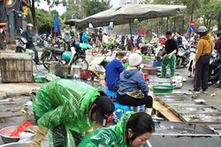 Dân tình hối hả 'săn cá' giải ngấy sau Tết