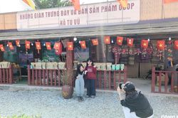 Trào lưu du xuân 'chữa lành': Chọn đồi chè Phú Thọ thay vì chen chân các điểm du lịch nổi tiếng