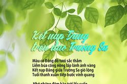 Kết nạp Đảng trên đảo Trường Sa