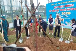 Phường Đại Mỗ rộn ràng hưởng ứng 'Tết trồng cây' đầu Xuân Bính Ngọ 2026