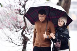 Dự báo thời tiết 22/2/2026: Miền Bắc có mưa, sương mù, lạnh kéo dài