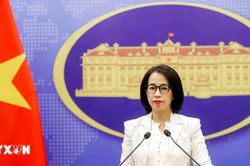 Việt Nam coi trọng hợp tác, trao đổi với OECD trong bảo đảm tính minh bạch, hiệu quả của hệ thống thuế