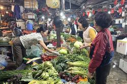 Thị trường Tết Bính Ngọ không khan hàng, không tăng giá đột biến