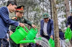 Năm 2026, Đoài Phương phấn đấu trồng 5.000 cây xanh các loại