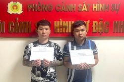 Vụ hành hung Công an viên ở Hải Phòng: Bắt giữ 2 đối tượng cầm đầu