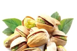 Xuất khẩu rau quả sang EU lập kỷ lục mới